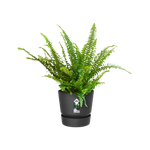 greenville easy hanger single living noir